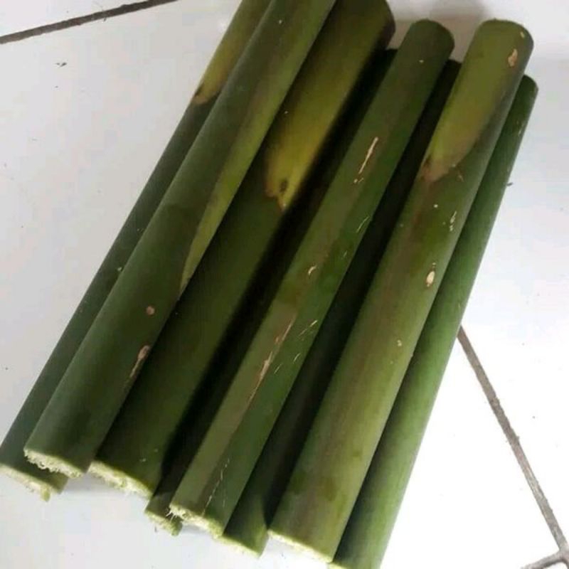 

Burus / batang kecombrang