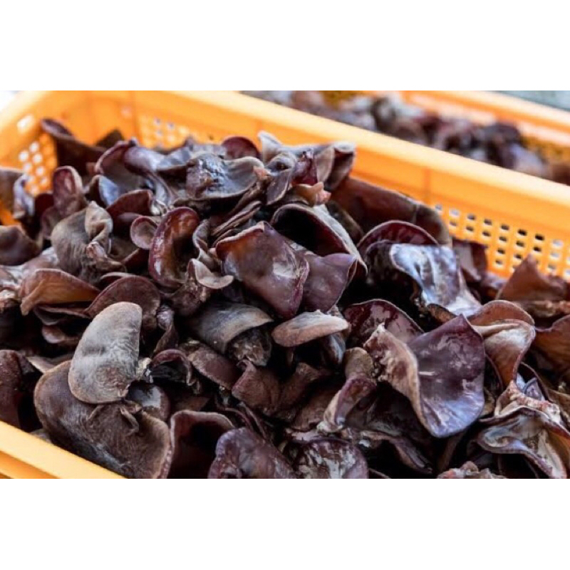 

JAMUR KUPING 1/4 FRESH