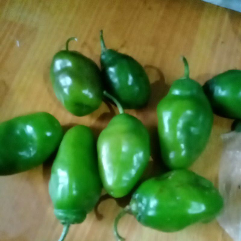 

cabe bandung/cabe gemuk