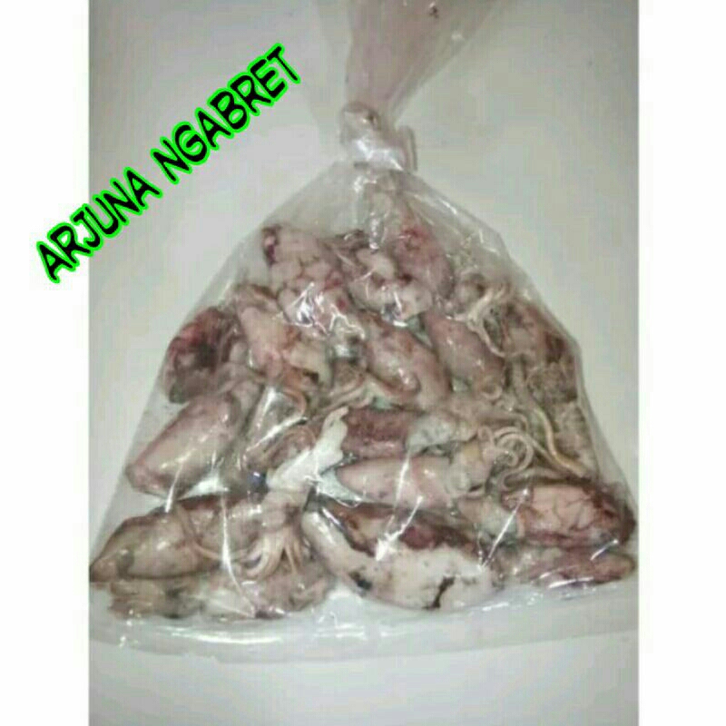 

termurah asin cumi baby perbungkus