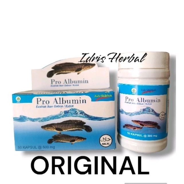 Pro albumin kapsul kutuk ikan gabus asli original
