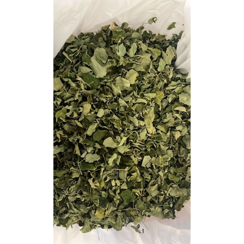 

Daun kelor kering