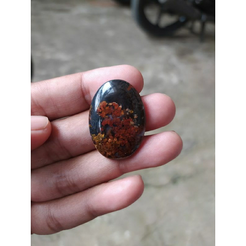 Akik Pancawarna Lumut