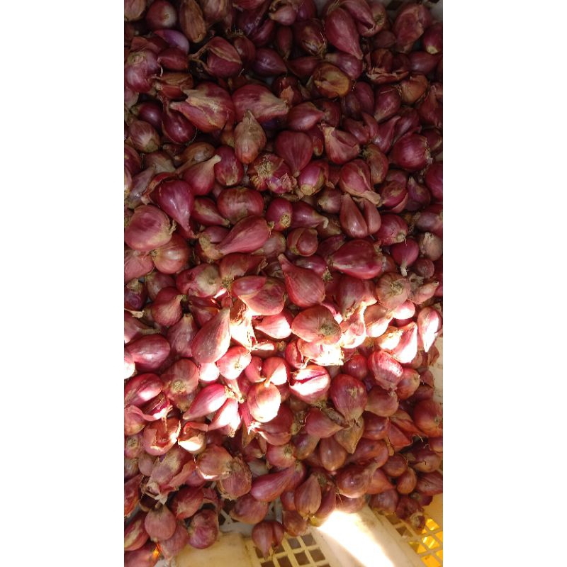 

(PASARAYA) Bawang Merah, Bawang Putih