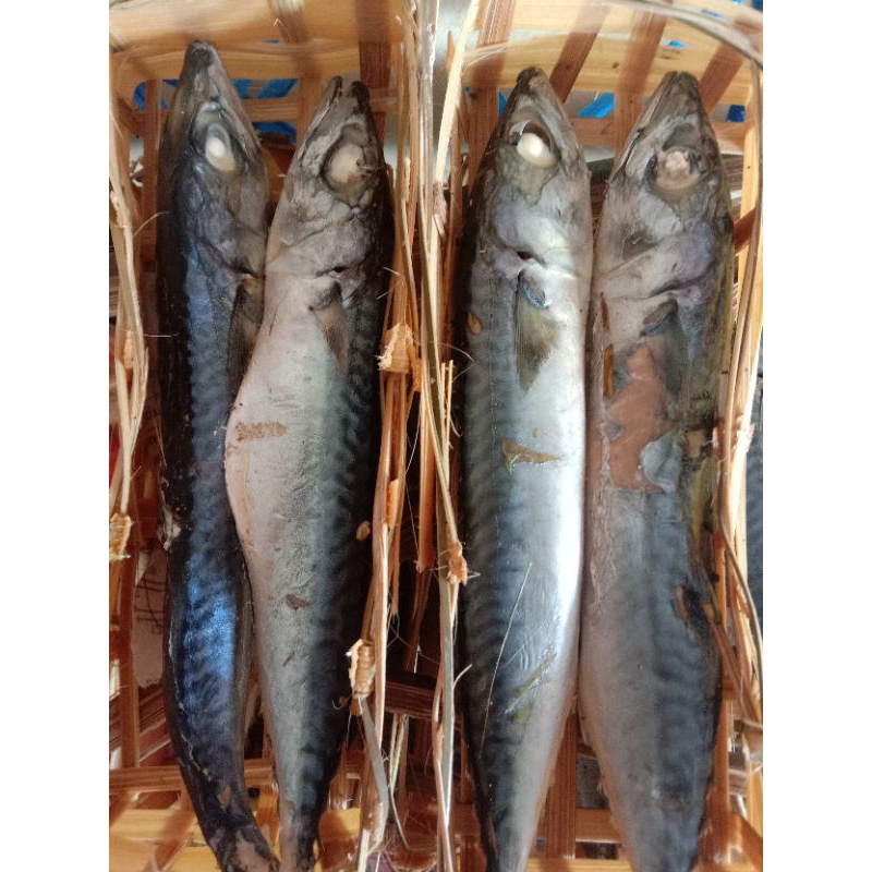 

Ikan pindang keranjang isi 2