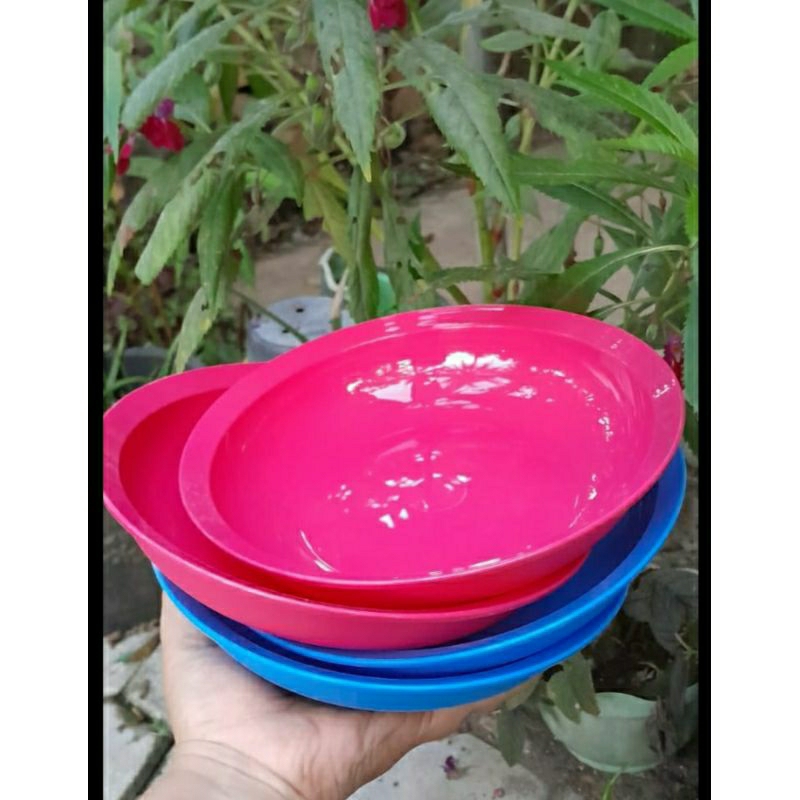 crescendo  plate ohana