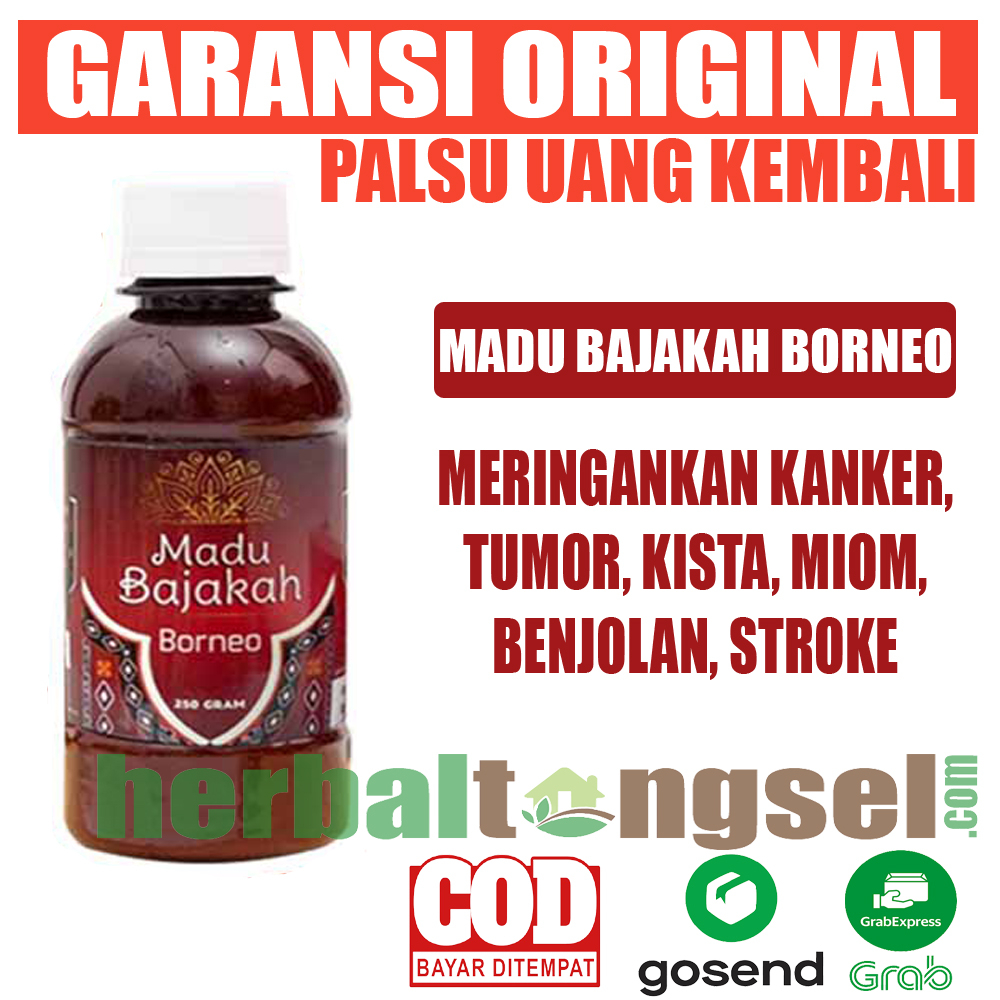 Madu Bajakah Borneo Original Madu Bajakah Premium Quality Madu Bajakah Borneo Asli Garansi Madu Baja
