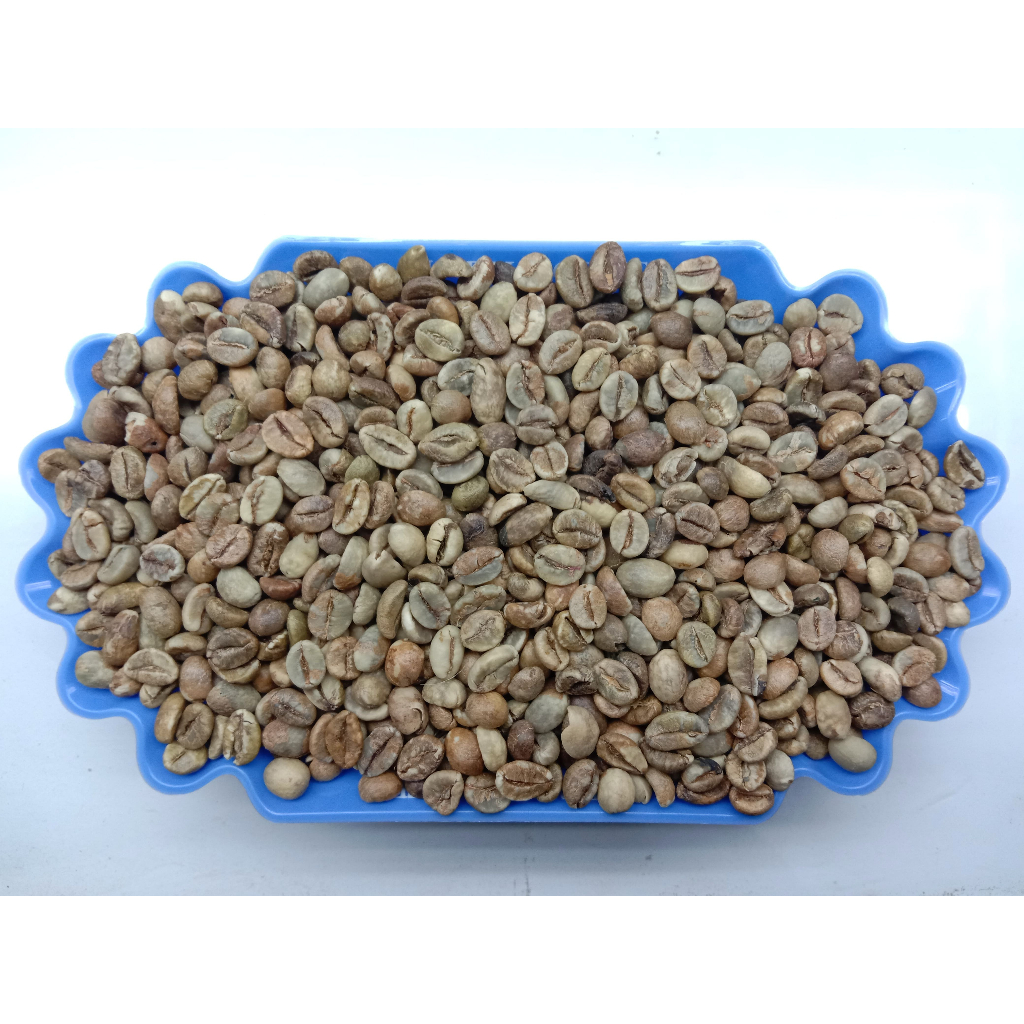 ELB 400 GRADE 2 / ROBUSTA GREEN BEAN / BIJI KOPI MENTAH ROBUSTA LAMPUNG  - 1 KG