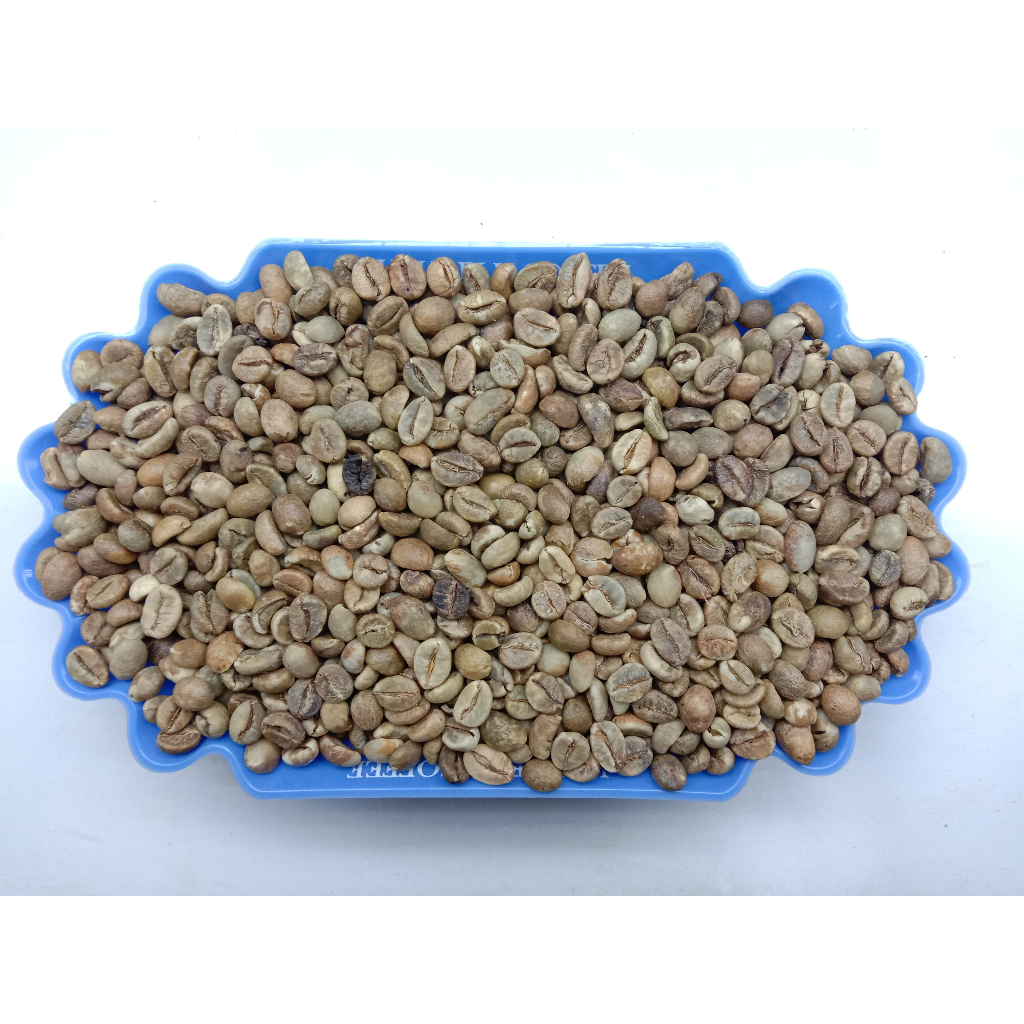 ELB 425 GRADE 2  / ROBUSTA GREEN BEAN / BIJI KOPI MENTAH ROBUSTA LAMPUNG - 1 KG