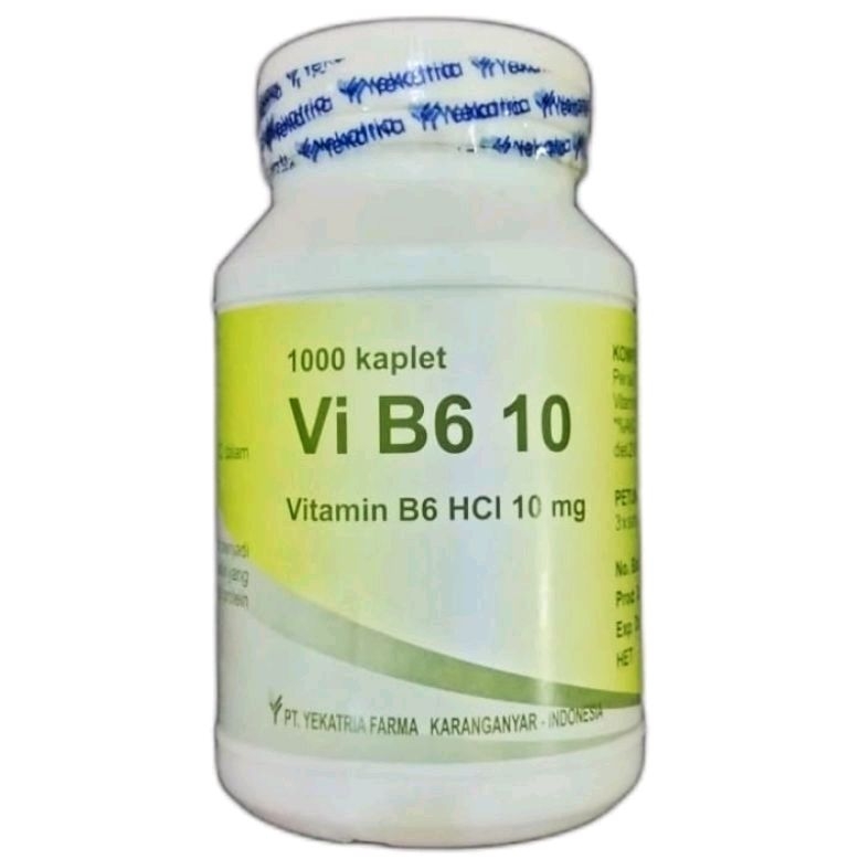 VI B6 10 - Vitamin B6 10mg (1000's /Botol)