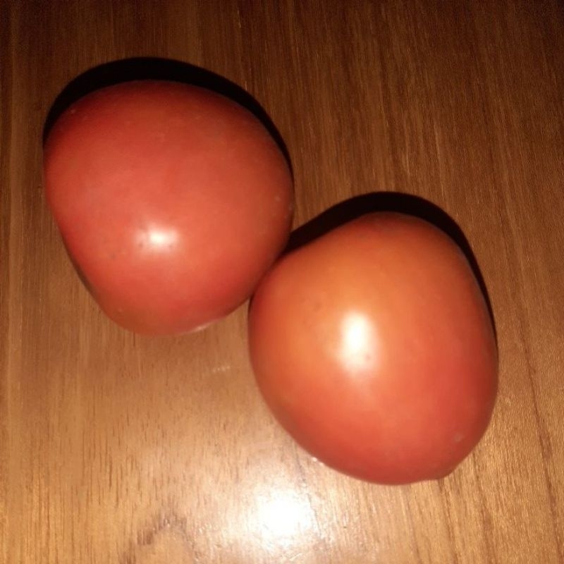 

Tomat Buah