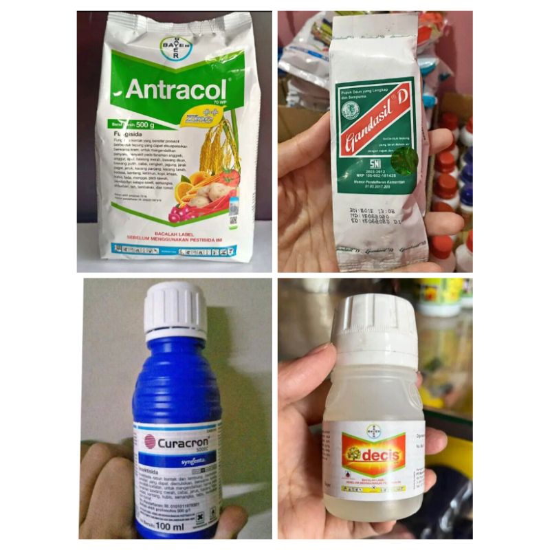 pupuk semprot mawar lengkap (4 jenis pupuk)