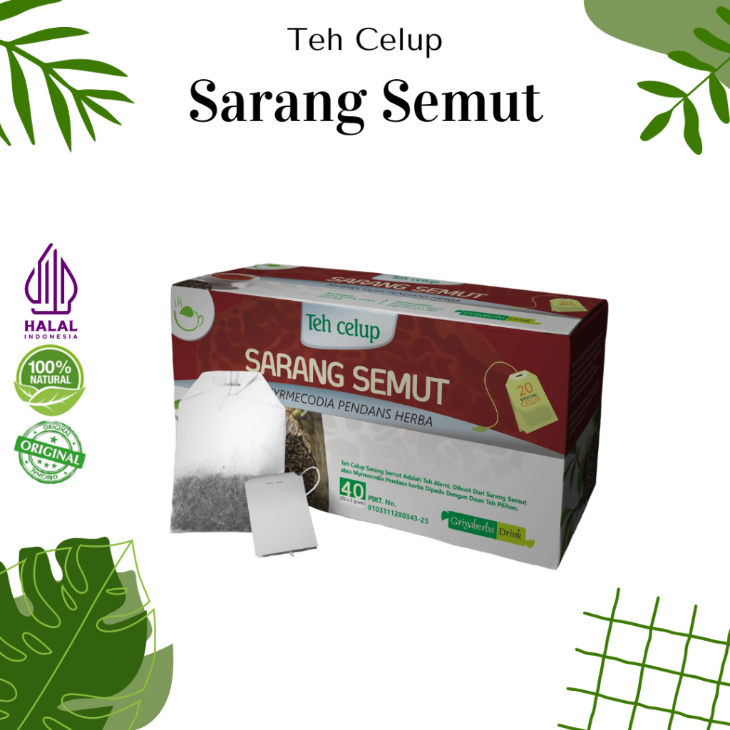 

Teh Herbal GRIYAHERBA Sarang Semut Teh Celup meredakan Rematik dan Asam Urat Halal BPOM