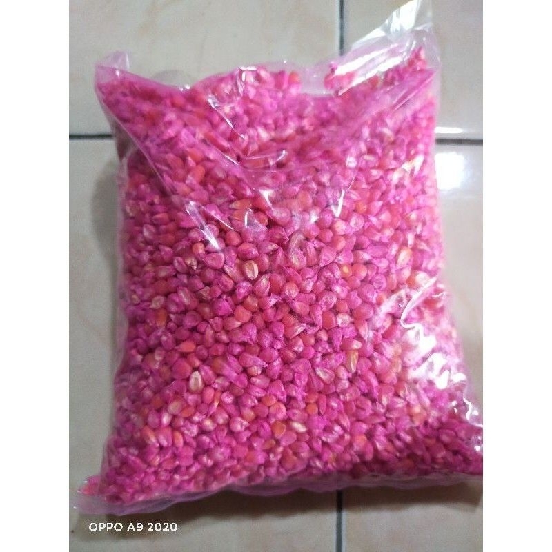 promo 1KG BENIH JAGUNG KRISTAL/UNYIL BENIH JAGUNG KRISTAL SUPER (SIAP TANAM)