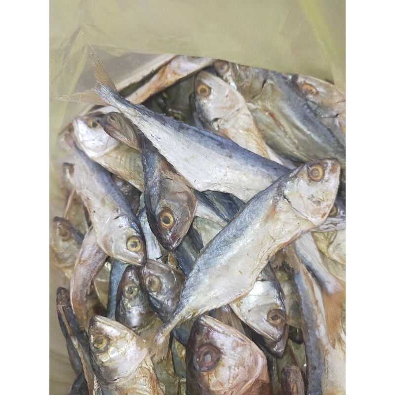 

Ikan Kembung Asin Ukuran Kecil Siap Digoreng Kemasan 100 Gram