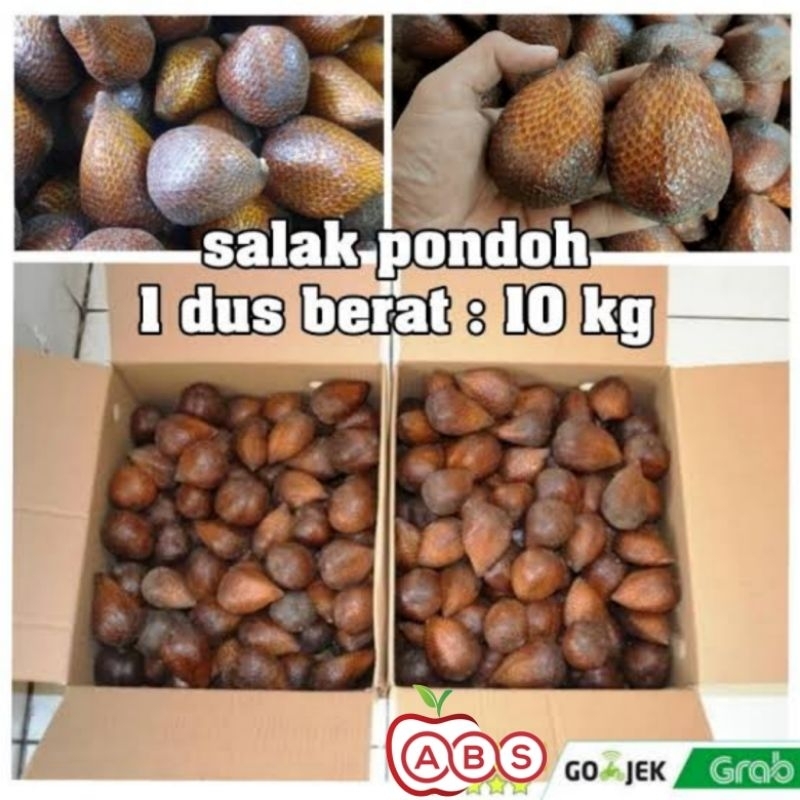 

READY STOK !! salak pondoh asli per - 10KG an | buah salak pondoh perdus 10Kg manis super