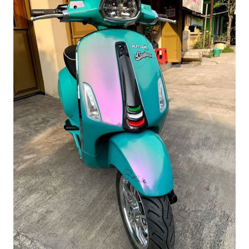 CAT BUNGLON DASAR IJO TOSCA CAT BUNGLON MOBIL MOTOR