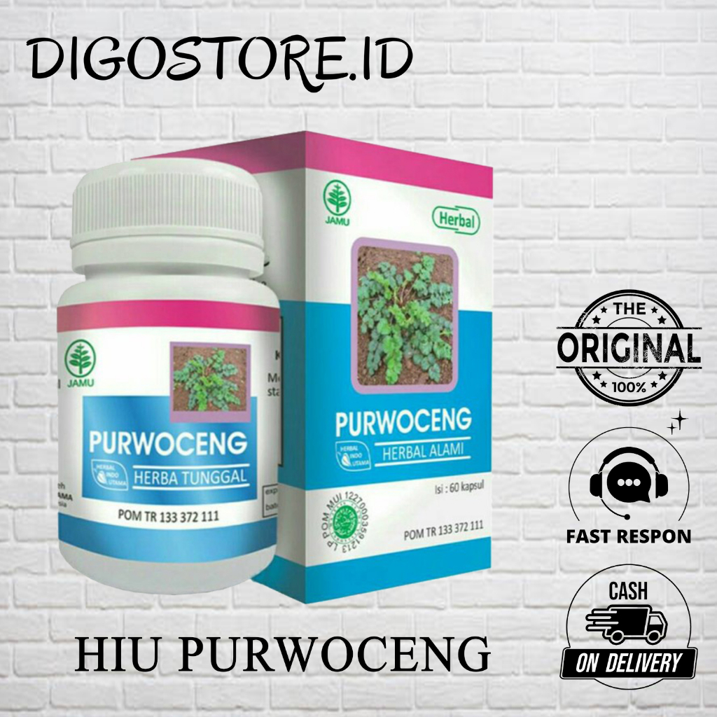 HIU Purwoceng 60 Kapsul Original Herbal Indo Utama