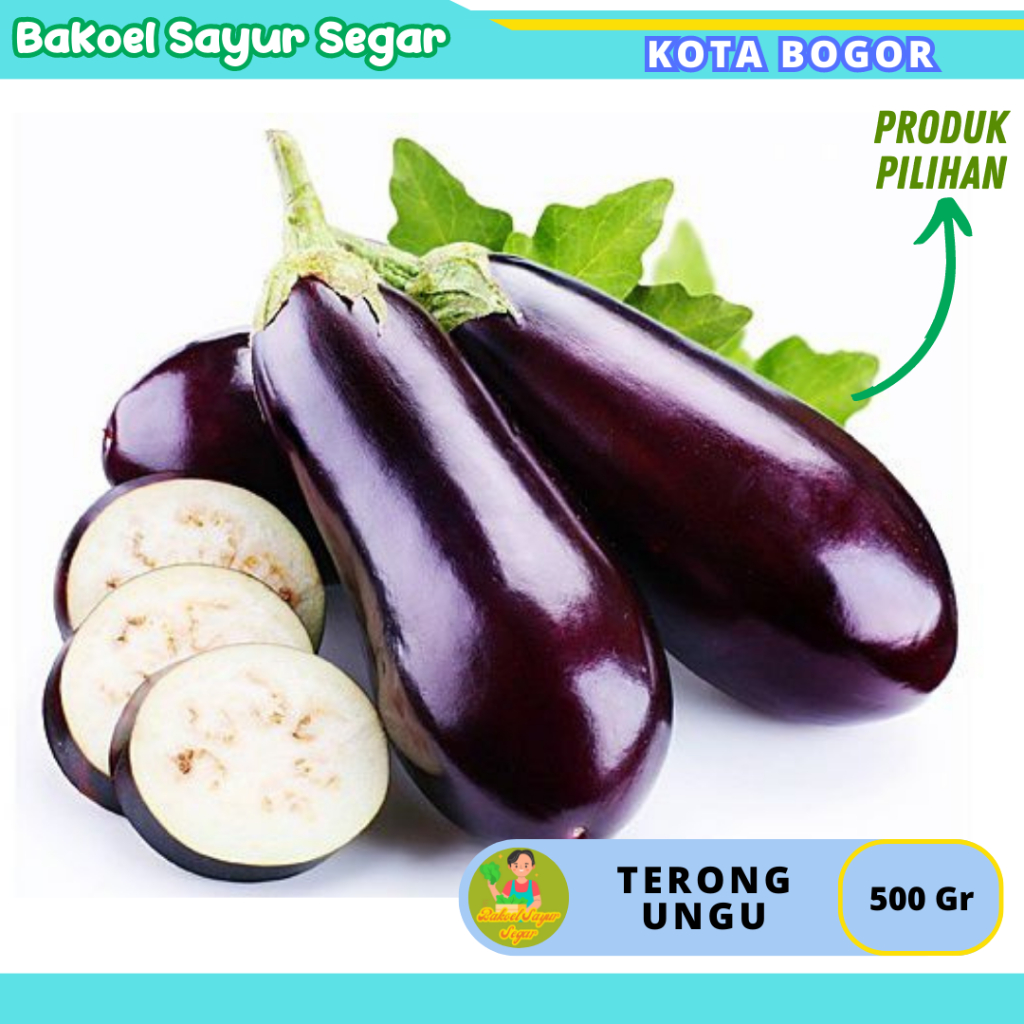 

Terong Ungu 500 gr Sayuran Segar Sayuran Fresh Sehat Setiap Hari Pilihan warga Kota Bogor