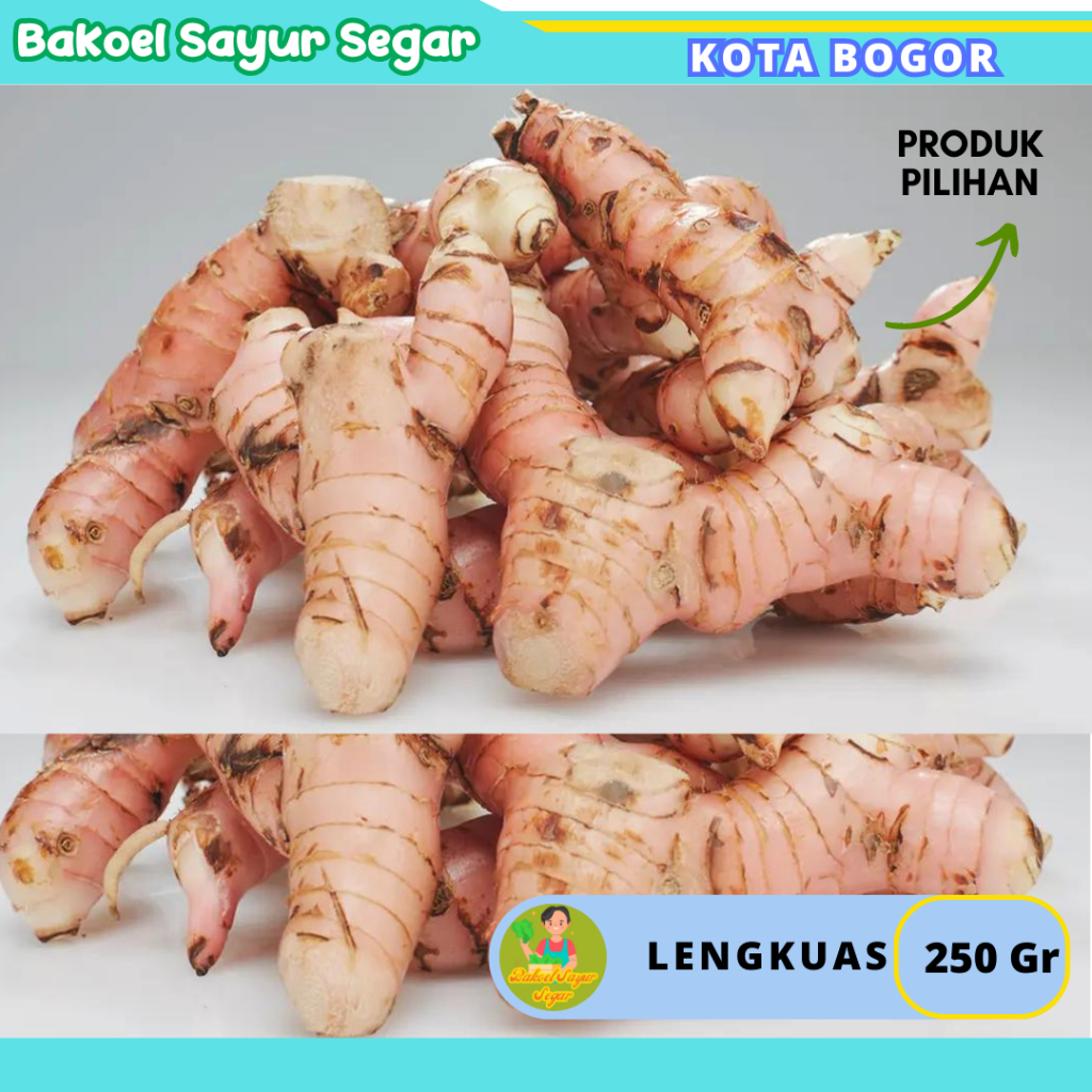 

Lengkuas 100 Gr Sayuran Segar Fresh Sehat Selalu Baru Setiap Hari Kota Bogor