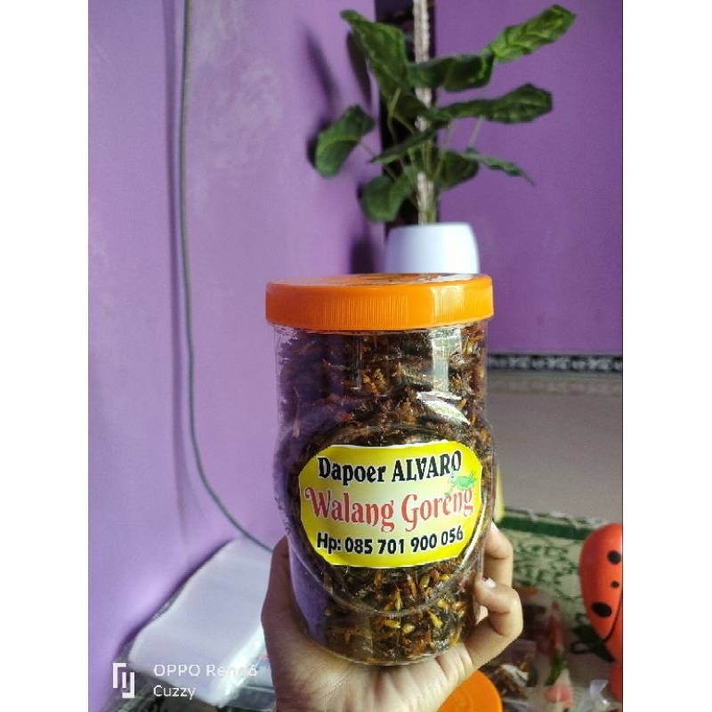 

Belalang goreng utis / kecil