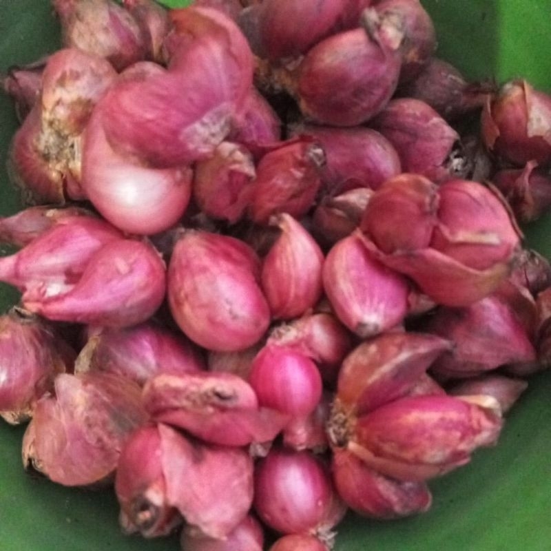

bawangmerah