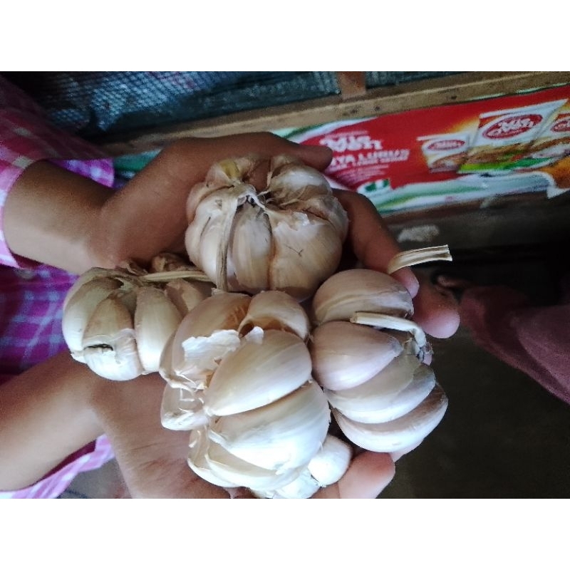 

BAWANG PUTIH BERSIH