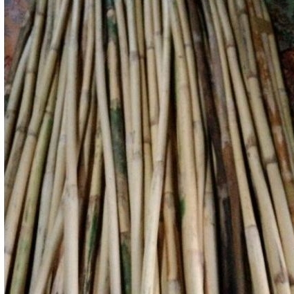 Toya Rotan Asli Stik Rotan Toya Pencak Silat Tongkat Rotan Toya Tongkat Rotan Wushu Toya Tongkat Bel