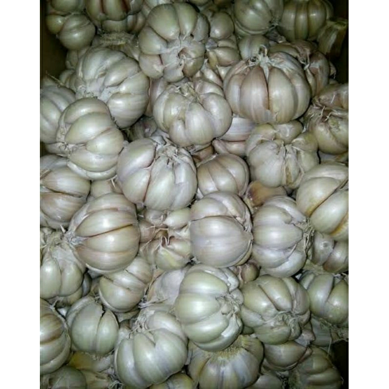

bawang putih 1/4 kg