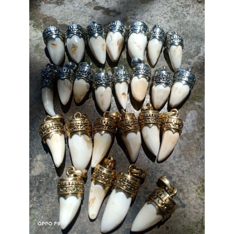 liontin/mainan kalung tarbuy(taring buaya)