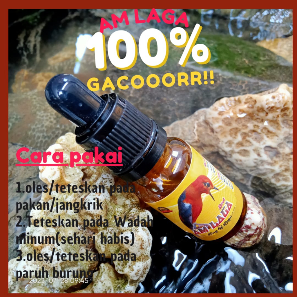 VITAMIN ANIS MERAH LOMBA, Solusi Burung Macet Bunyi