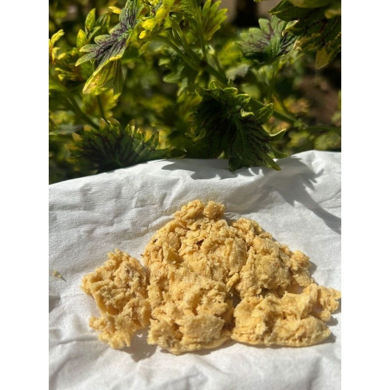 Telur lalat/Telur magot bsf 10Gram