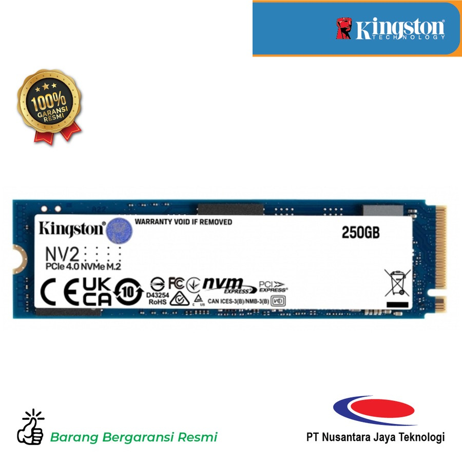 Kingston SSD NVME NV2 250GB 250G SNV2S/250G PCIe NVMe Gen 4 x4 PC Laptop Notebook