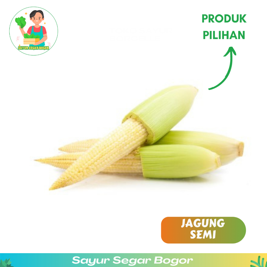 

Jagung Semi 100gr Jagung muda Sayur Bening
