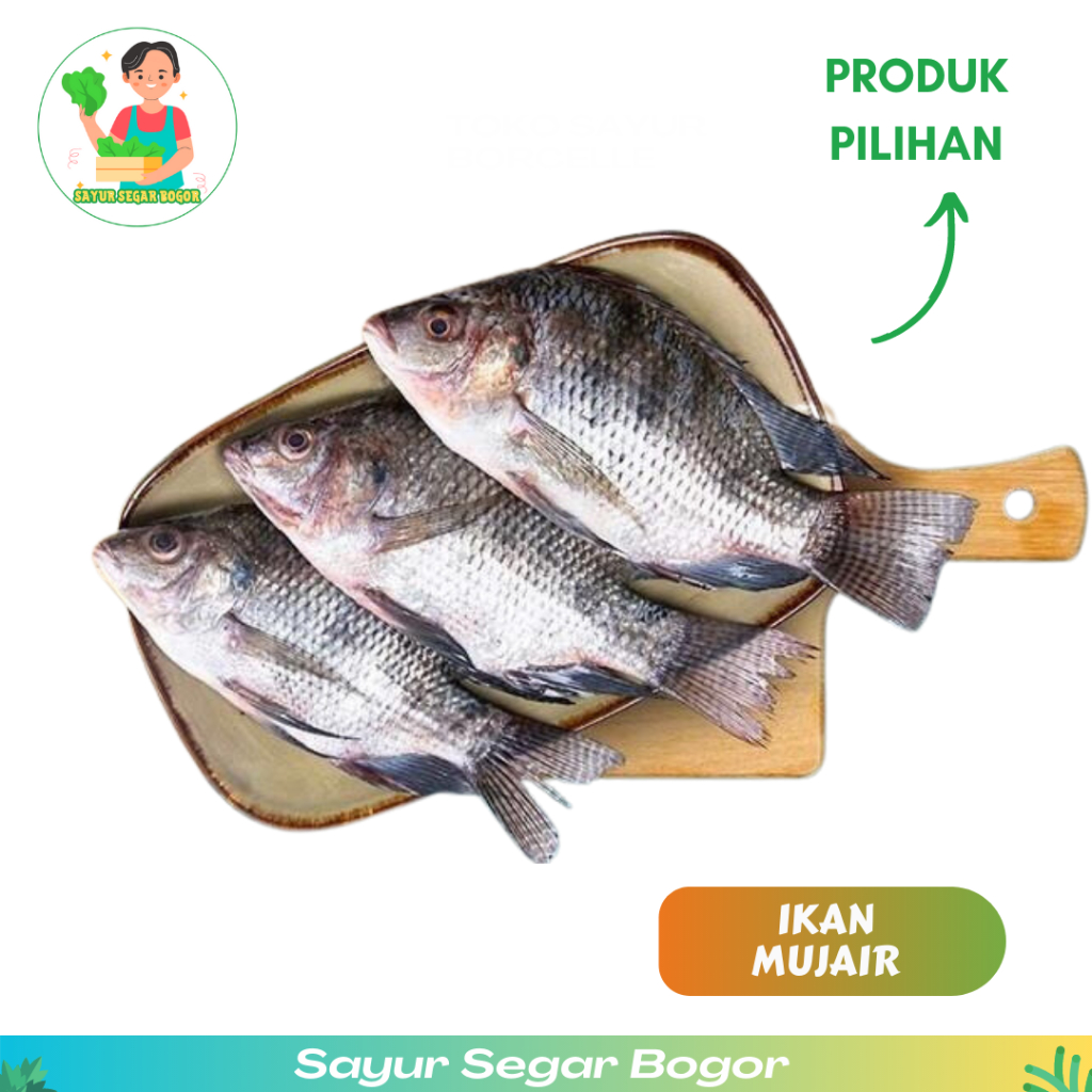 

Ikan Mujaer 500gr Ikan Mujair hidup Mujair segar Kota Bogor