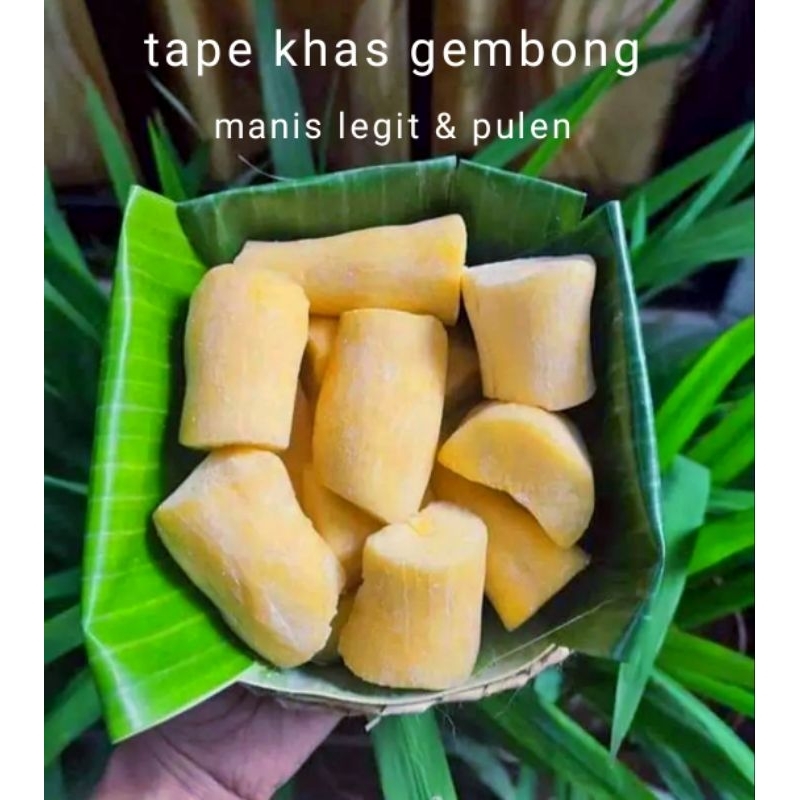 

tape MENTEGA singkong khas GEMBONG manis,legit,pulen