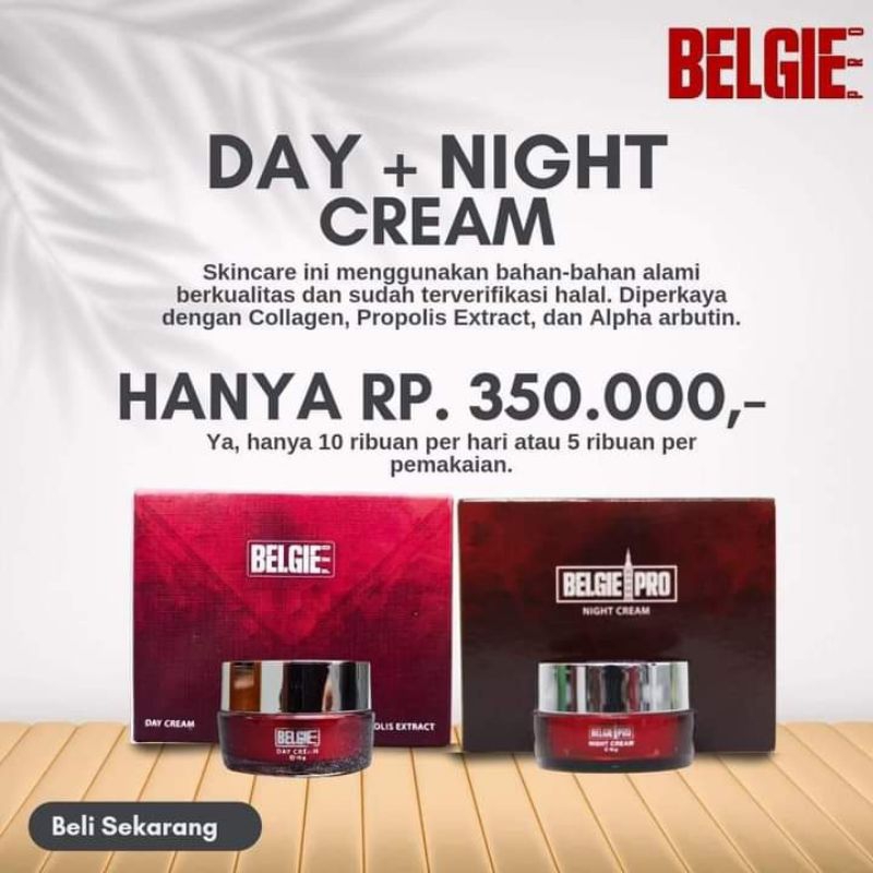 BELGIE PRO PAKET DAY CREAM & NIGHT CREAM