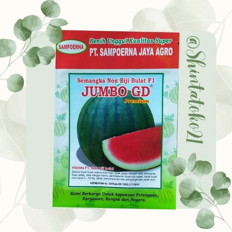 Benih semangka non biji bulat JUMBO GD (GRATIS HOODIE/KAOS SETIAP PEMBELIAN MINIMAL 15 BUNGKUS)