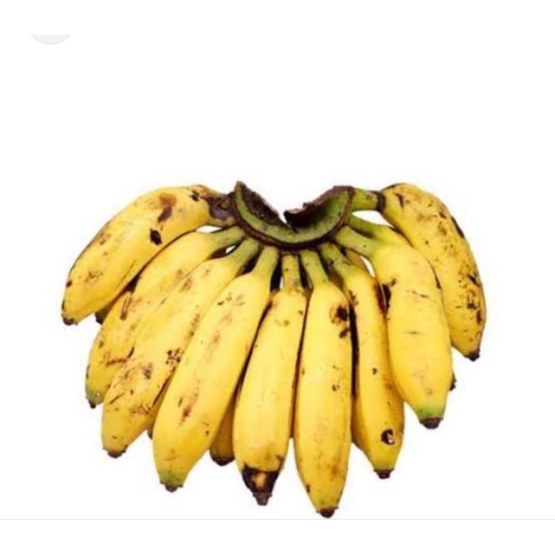 pisang Uli 1 sisir
