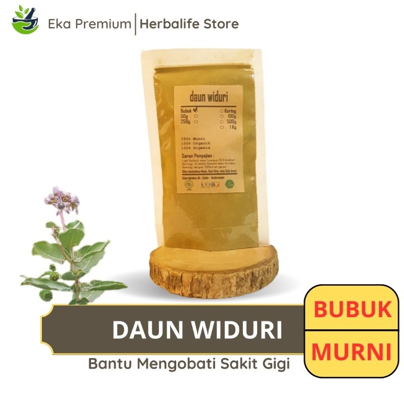 

DAUN WIDURI BUBUK Biduri Kering Ramuan Rempah Herbal Murni Jamu Minuman Alami Tradisional Simplisia Calotropis Gigantea