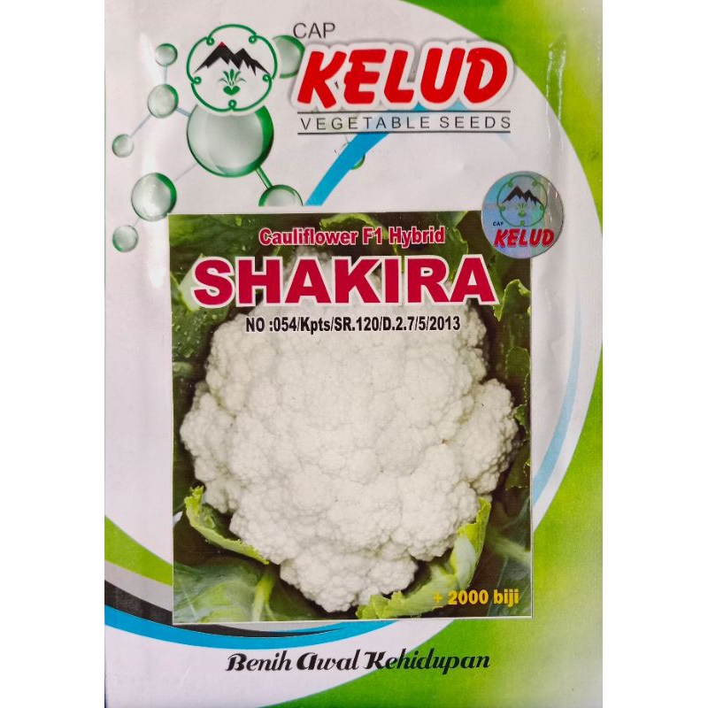 Benih Bunga Kol SHAKIRA 10gram