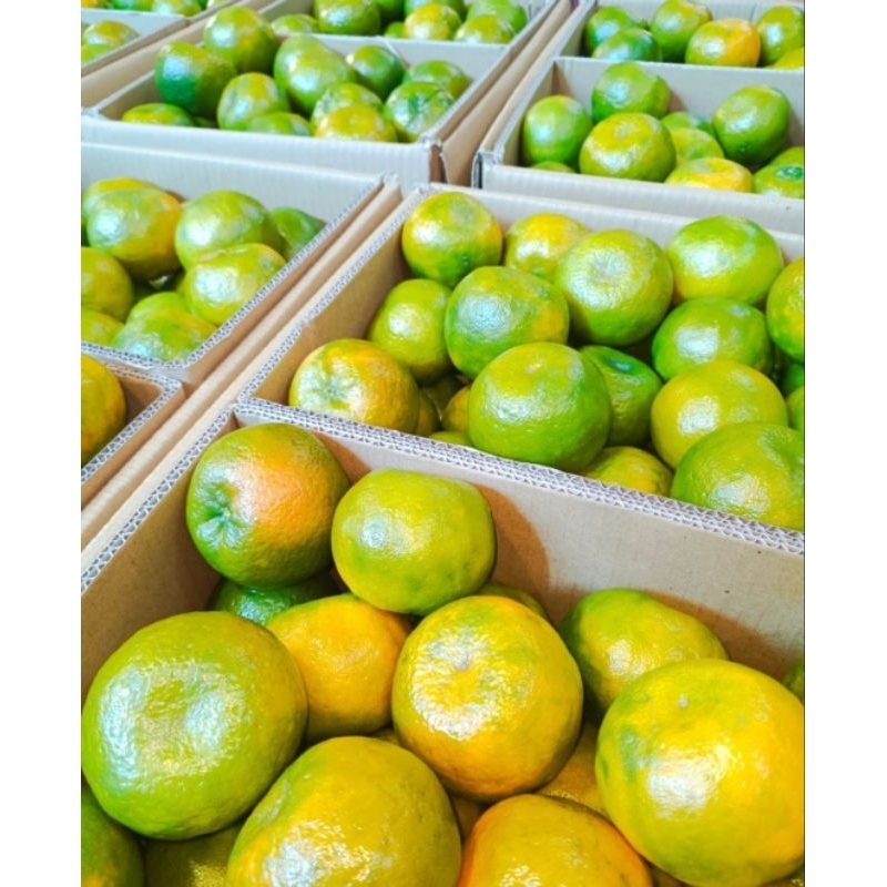

Jeruk Siam Madu / Jeruk Ponti 500gr