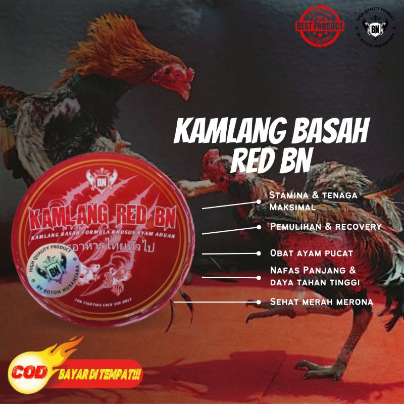 KAMLANG BASAH ayam aduan RED BN ayam siap tarung adu bagus untuk pemulihan obat luka dalam sakit kun