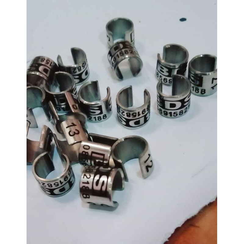 10 Biji Ring Merpati Dewasa Reques Nama Cincin Segel Merpati Bahan Baja Steinles