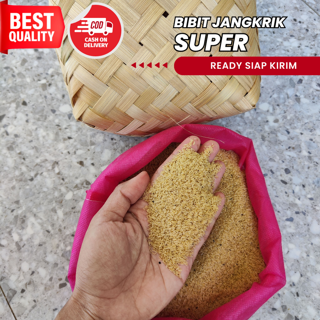 Telur Jangkrik Alam Telur Jangkrik Murah Bandung telur jangkrik alam madu  harga telur jangkrik alam