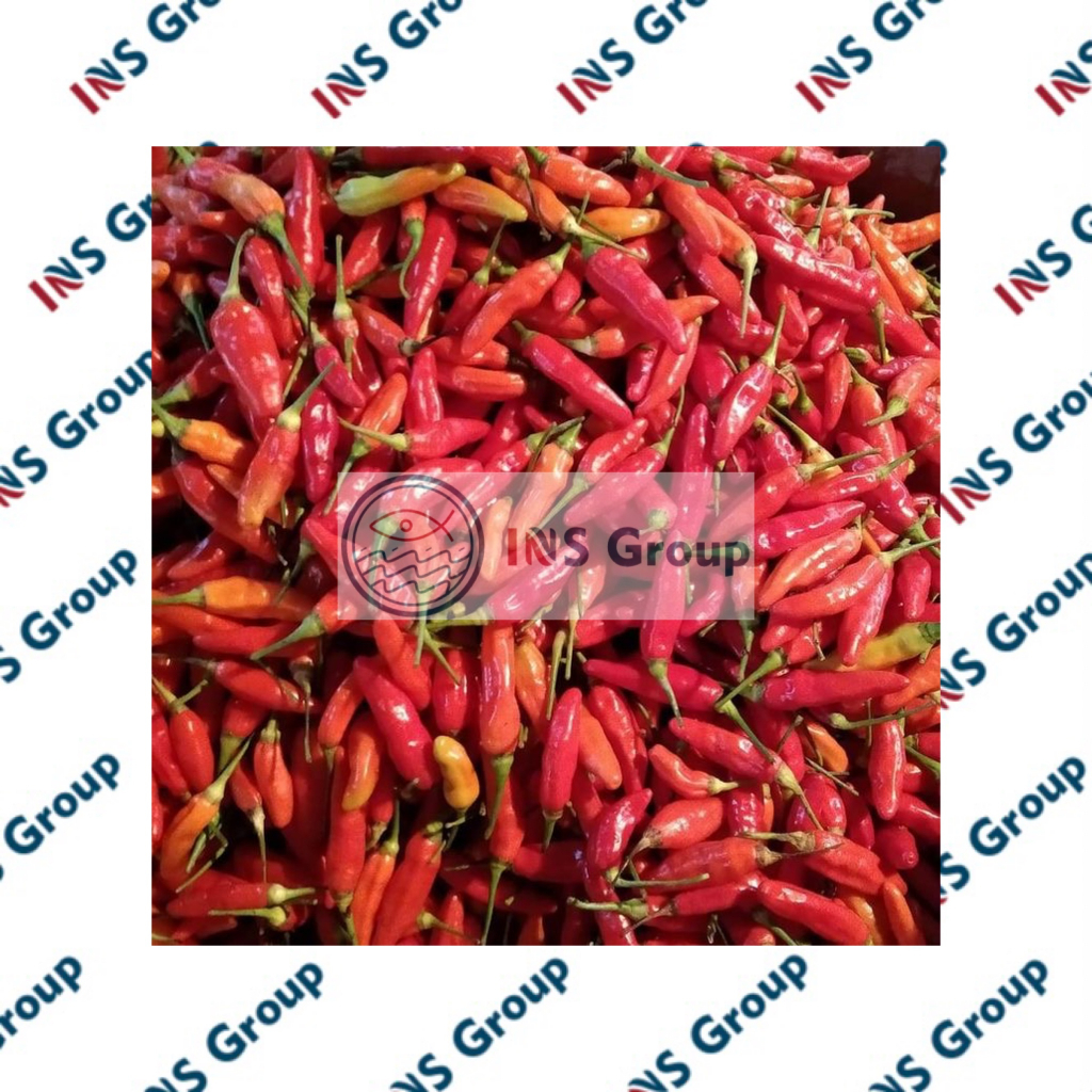 

Cabe Rawit Merah 50gr / Cengek domba / Cabai Rawit Merah