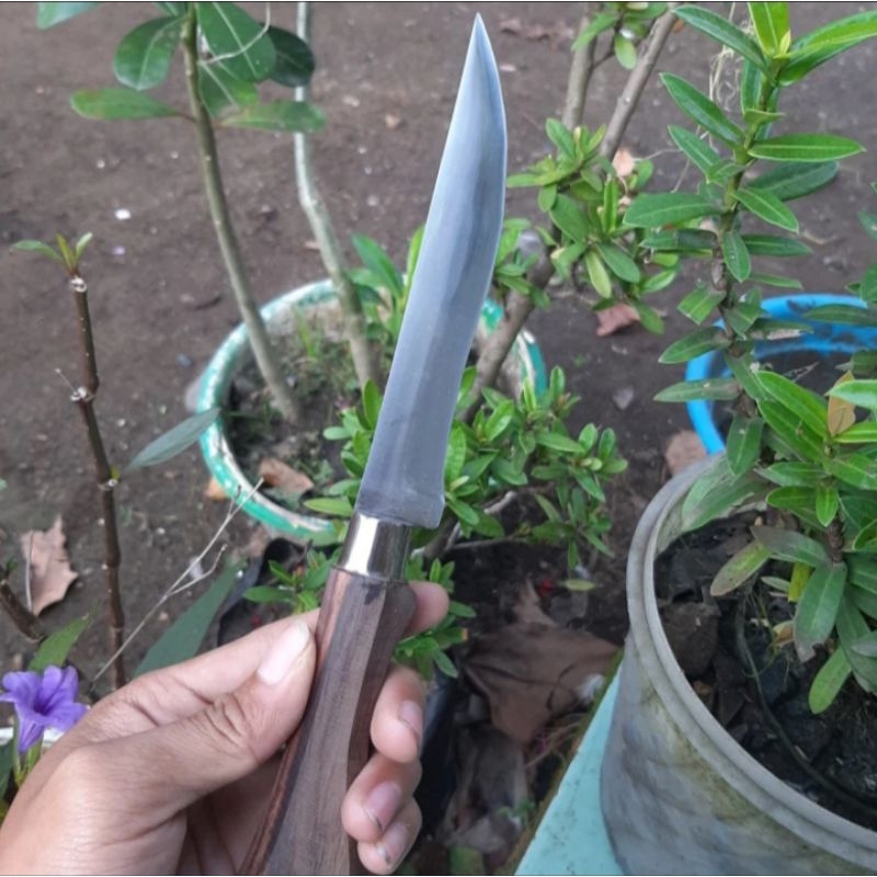 Pisau gagah unik baja putih HSS anti karat super tajam