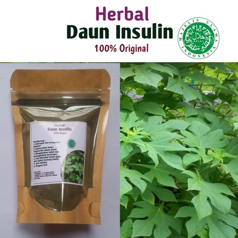 

Herbal Daun Insulin Bubuk Original