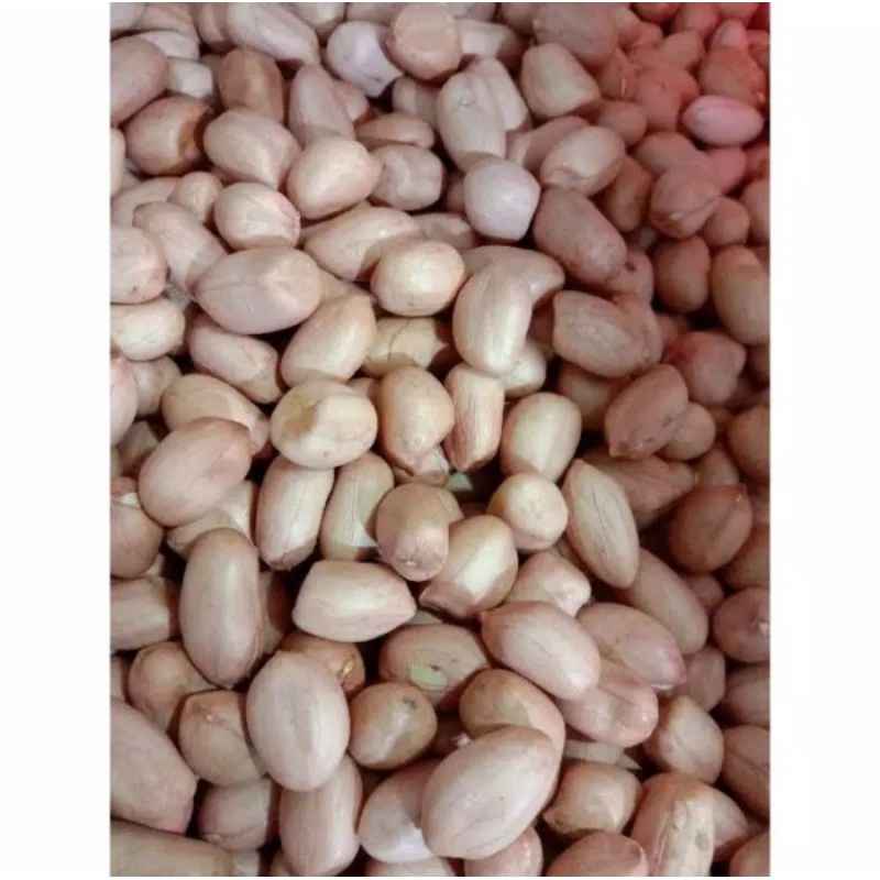 

Kacang Tanah Tanpa Kulit