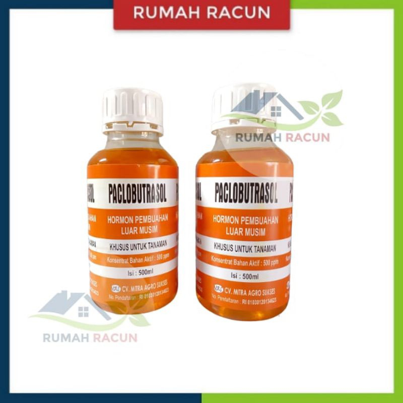 ZPT PACLOBUTRASOL PACLOBUTRAZOL HORMON MURNI PEMBUAHAN DI LUAR MUSIM